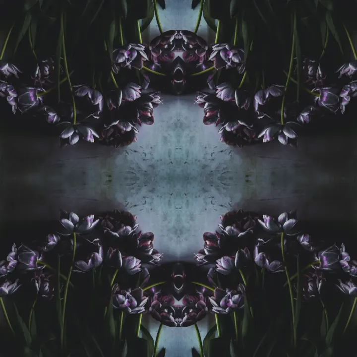 Fototapeta Kwadratowa Tulipan – Abstrakcja Geometryczna i Motyw Florystyczny – produkt