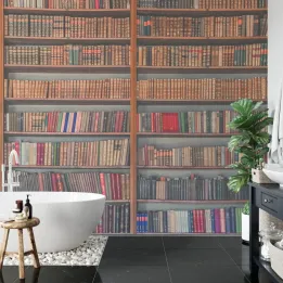 Fototapeta Biblioteka – Regał z Książkami i Płytami Winylowymi