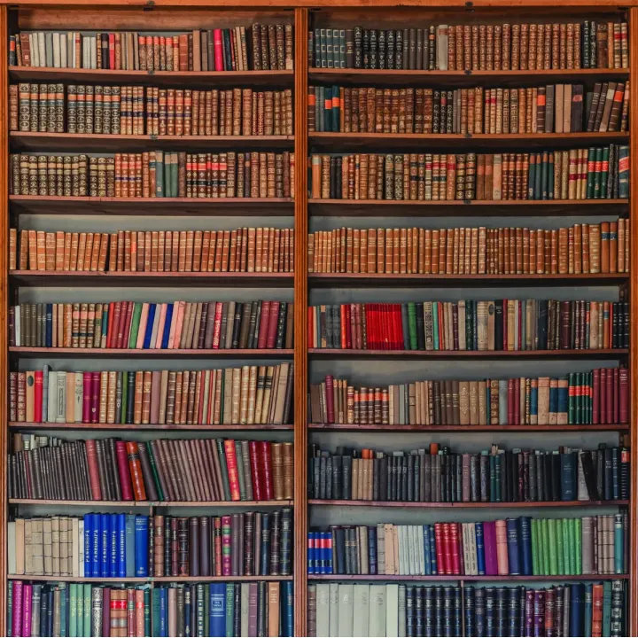 Fototapeta Biblioteka – Regał z Książkami i Płytami Winylowymi – produkt