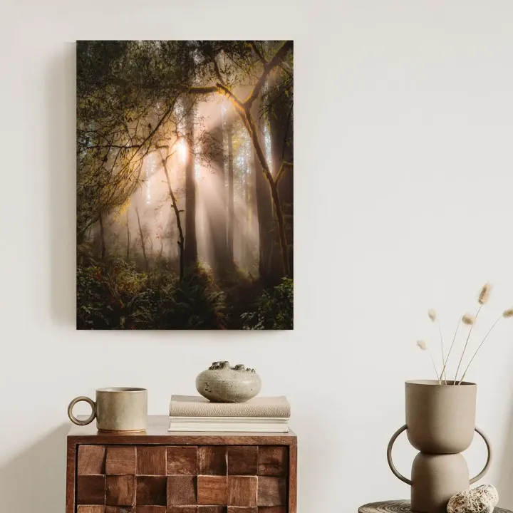 Plakat Promienie Słońca W Lesie – Leśna Cisza i Mgła w Naturze