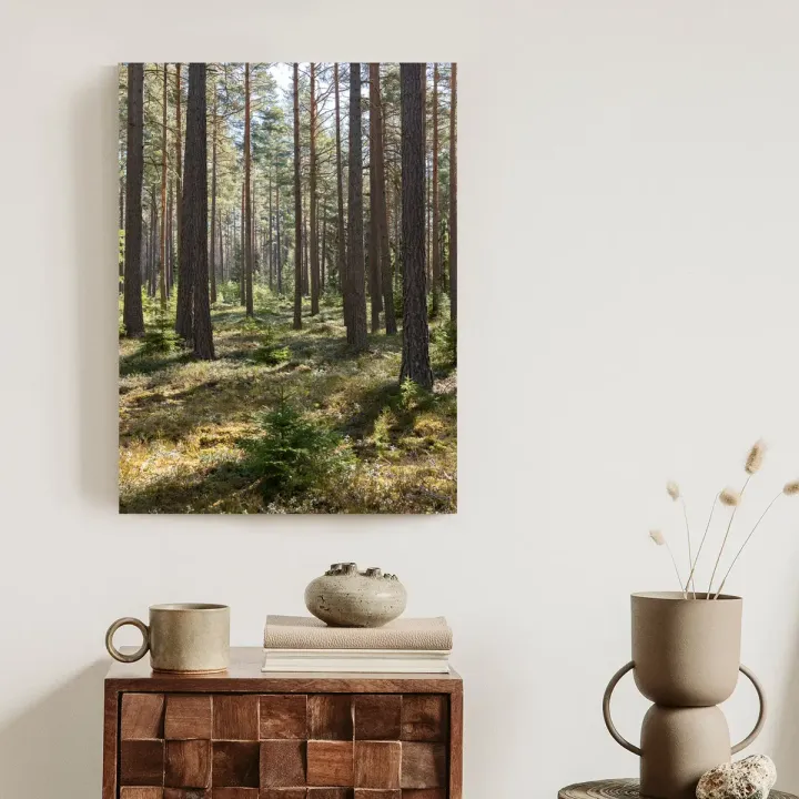 Plakat Las Sosnowy – Leśna Cisza i Głębia Perspektywy