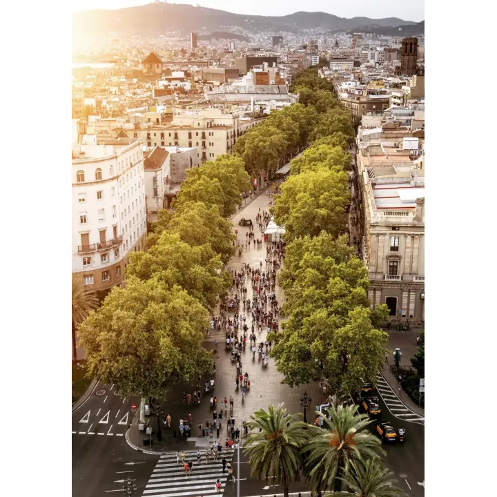 Plakat Widok na La Rambla – Barcelona o Zachodzie Słońca – produkt