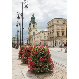 Plakat Kościół Świętego Krzyża – Architektura Sakralna Warszawy – produkt