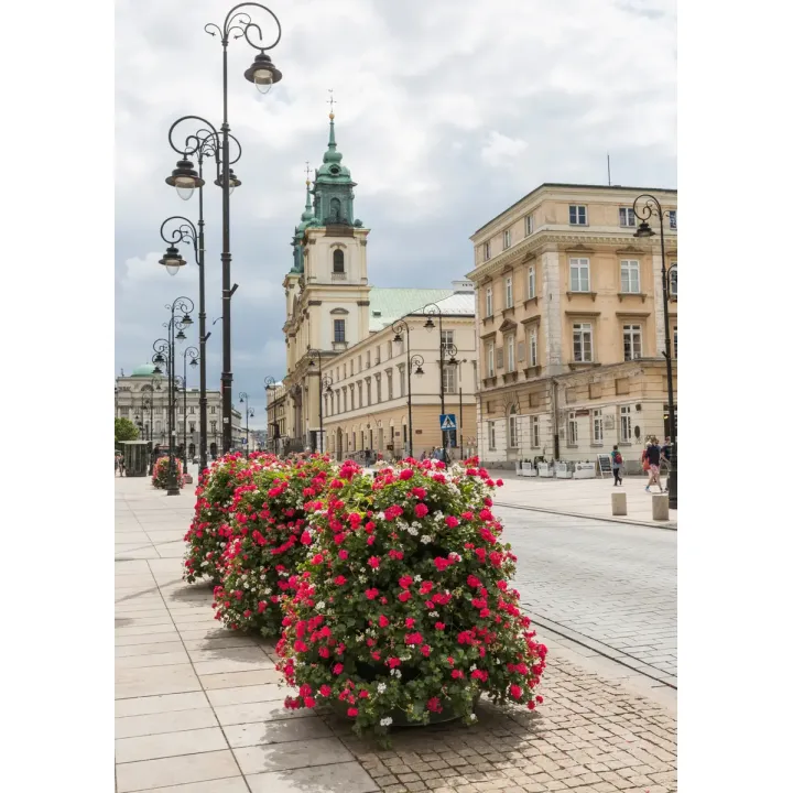 Plakat Kościół Świętego Krzyża – Architektura Sakralna Warszawy – produkt