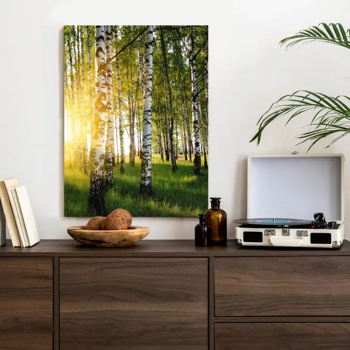 Plakat Brzozowy Gaj – Leśna Cisza i Poranny Krajobraz
