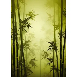 Plakat Las Bambusowy – Spokojna Natura i Leśna Cisza – produkt
