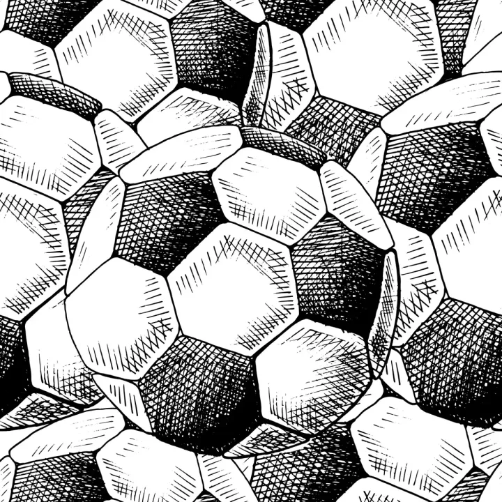 Tapeta Szkicowane Piłki Nożne – Abstrakcja Geometryczna w Stylu Monochromatycznym – produkt