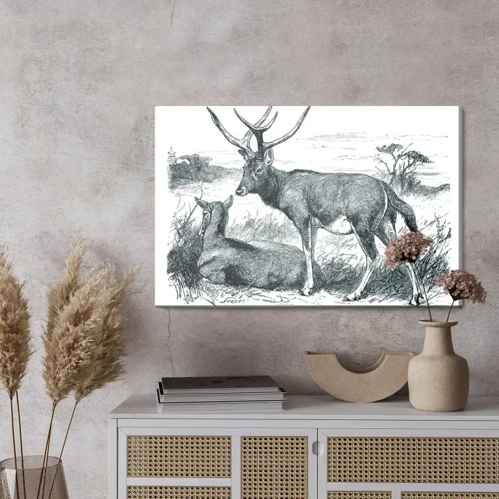 Obraz Na Płótnie Szkic Z Jeleniami – Leśna Cisza i Natura