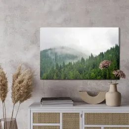 Obraz Mgła Nad Lasem Iglastym – Leśna Cisza i Natura