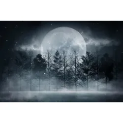 Obraz Las Nocą – Księżyc w Pełni i Leśna Cisza