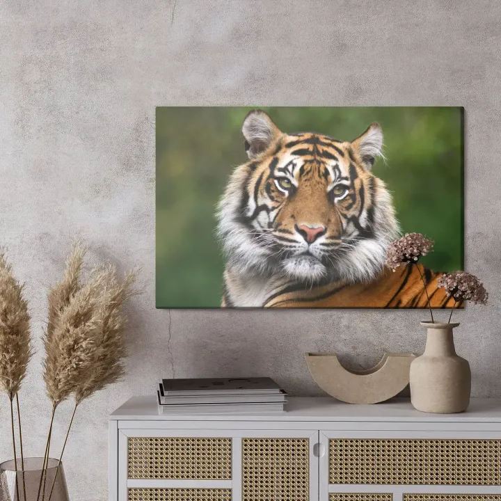 Obraz Tygrys Bengalski – Portret Drapieżnika w Dzikiej Przyrodzie