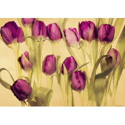 Obraz Tulipany – Kwiatowy Bukiet w Stylu Retro