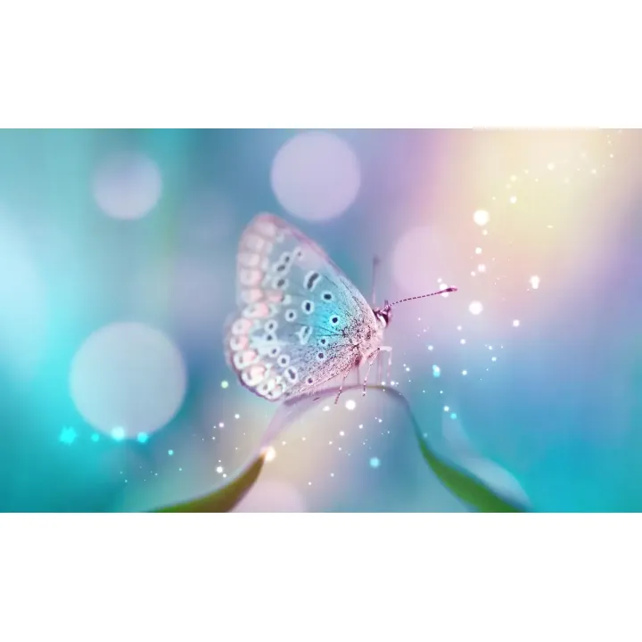 Obraz Motyl – Makrofotografia Natury w Delikatnej Abstrakcji – produkt