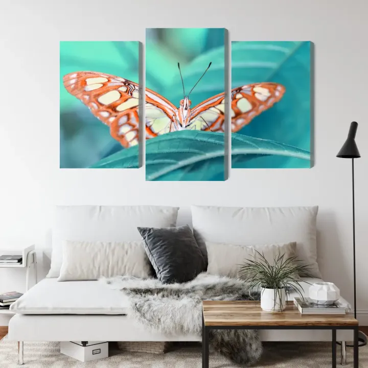 Obraz Motyl Na Liściu – Makrofotografia Pełna Detali Natury