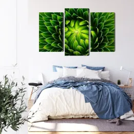 Obraz Wieloczęściowy – Makro Zielonej Rośliny i Detale Botaniczne