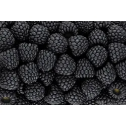 Obraz Jeżyny w Skali Makro – Abstrakcyjna Fotografia Detali Owoców