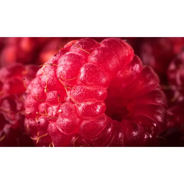 Obraz Wieloczęściowy Maliny – Soczysta Czerwień i Detale Owoców w Makro – produkt