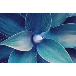 Obraz Abstrakcja Botaniczna – Makrofotografia Struktury Liści