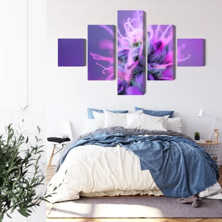 Obraz Roślina Makro – Botaniczna Fotografia na Różowo-Fioletowym Tle – produkt