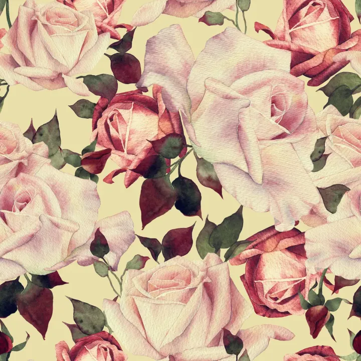 Tapeta Róże w Stylu Vintage – Akwarelowy Ogród Różany – produkt