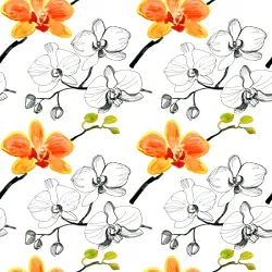 Tapeta Kwiaty Storczyki – Motyw Botaniczny z Orchideami