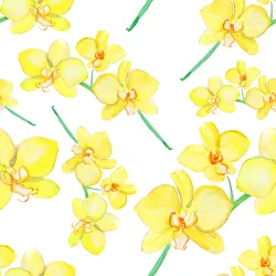 Tapeta Storczyki – Żółte Kwiaty i Zielone Liście w Botanicznym Motywie