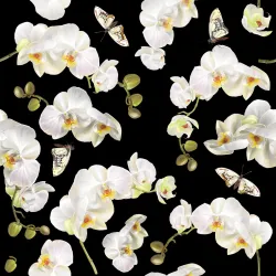 Tapeta Storczyk – Motyl i Kwiaty w Naturze