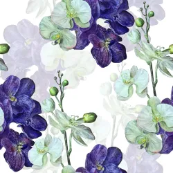 Tapeta z Orchideą – Kwiaty i Krople Wody w Naturze
