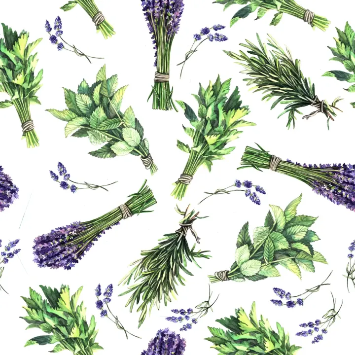 Tapeta Lawenda Zioła – Prowansalski Ogród Botaniczny – produkt