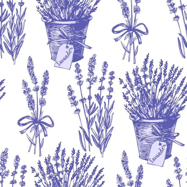 Tapeta Lawenda – Prowansalski Ogród Botaniczny – produkt