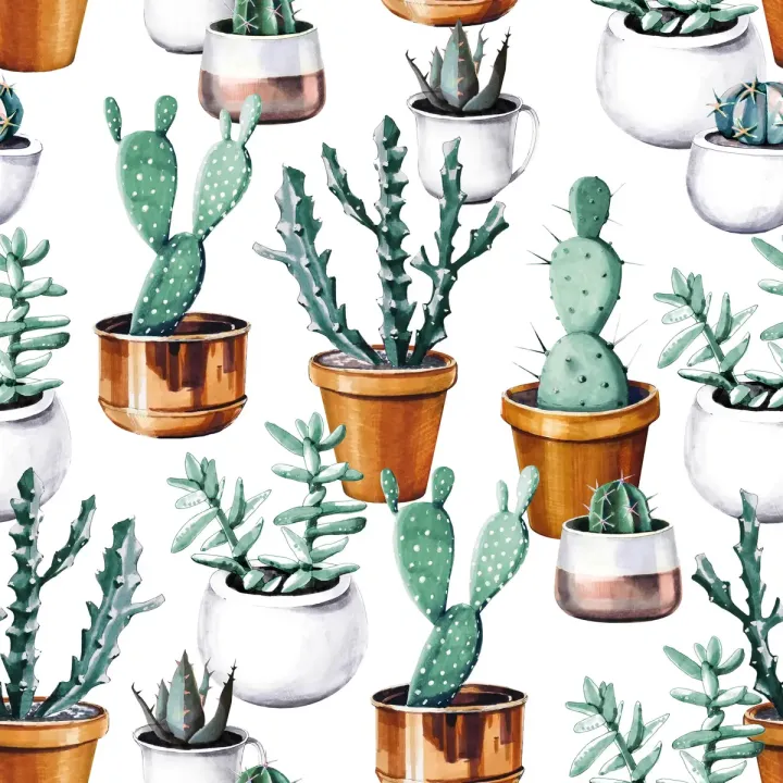 Tapeta Malowane Kaktusy – Egzotyczne Rośliny w Stylu Botanicznym – produkt