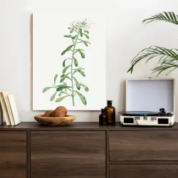Plakat Mała Roślinka – Minimalistyczna Botanika do Wnętrz