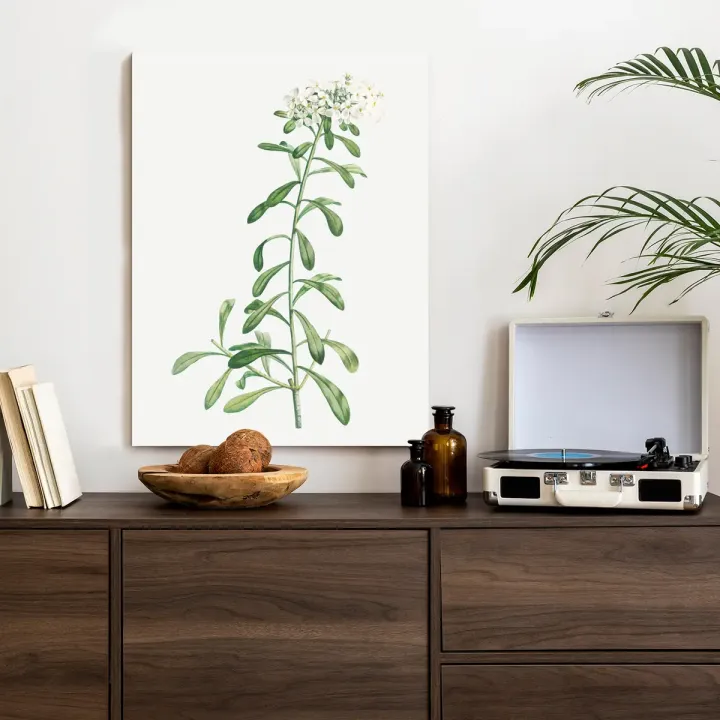 Plakat Mała Roślinka – Minimalistyczna Botanika do Wnętrz – produkt