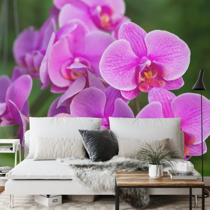 Fototapeta Kwiaty Orchidei 3D – Egzotyczna Roślinność do Wnętrz
