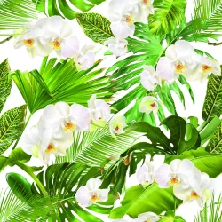 Tapeta Storczyki – Botaniczny Motyw Natury i Zieleni