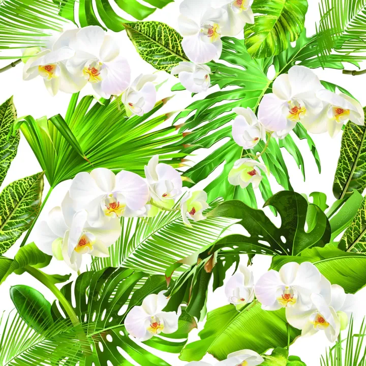 Tapeta Storczyki – Botaniczny Motyw Natury i Zieleni – produkt