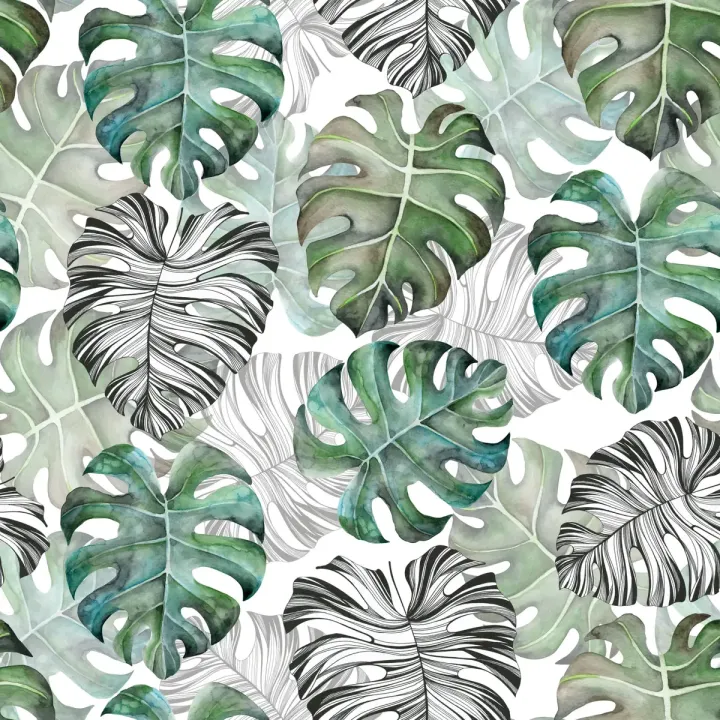 Tapeta Monstera – Tropikalne Liście w Stylu Botanicznym – produkt