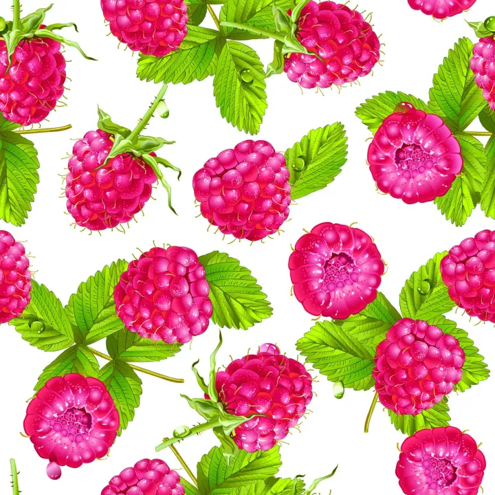 Tapeta Do Kuchni – Soczyste Maliny i Letnia Atmosfera – produkt