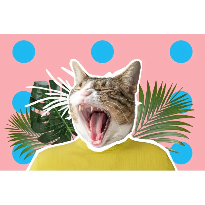 Obraz Kot i Liście – Pop Art w Żółci i Niebieskie Kropki