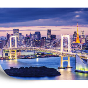 Fototapeta Tęczowy Most W Tokio - aranżacja