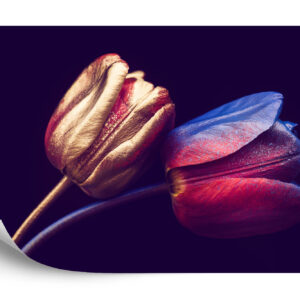 Fototapeta Tulipany Ze Złotymi Elementami - aranżacja