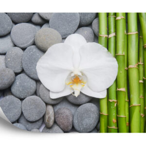 Fototapeta Bambusy Z Kamieniami I Orchideą - aranżacja