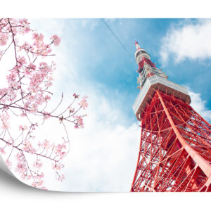 Fototapeta Tokyo Tower Na Tle Nieba - aranżacja