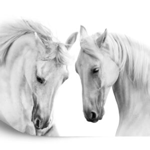 Fototapeta Dwa Białe Konie 3D - aranżacja