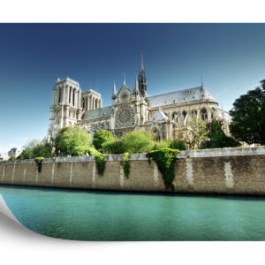 Fototapeta Paryż-Notre Dame - aranżacja