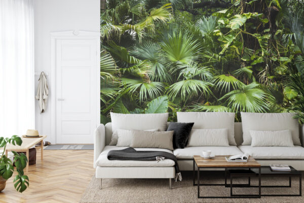 Fototapeta Piękne Liście Palmowe W Tropikalnej Dżungli - aranżacja mieszkania