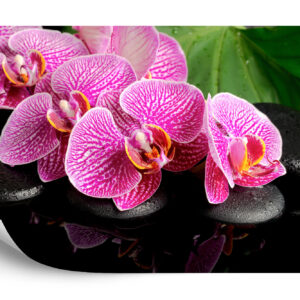 Fototapeta Orchidea Spa - aranżacja