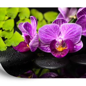 Fototapeta Orchidea Spa - aranżacja