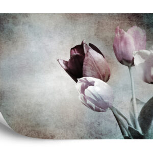Fototapeta Tulipany W Stylu Vintage - aranżacja