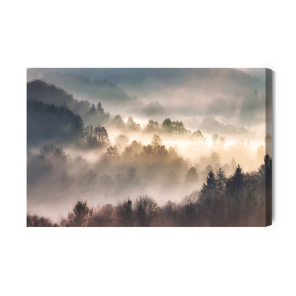 Obraz Na Płótnie Mist In Forest With Sunbeam Rays